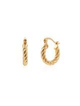 Gold hoop earrings