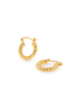 Mini gold hoop earrings